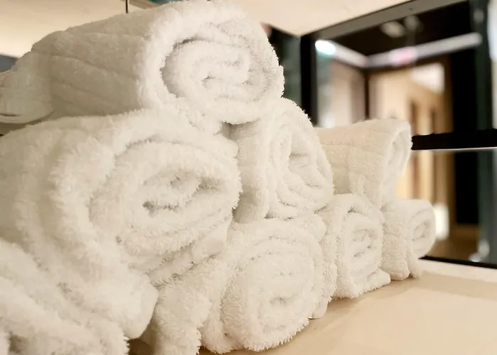 Zenit Convento San Martin